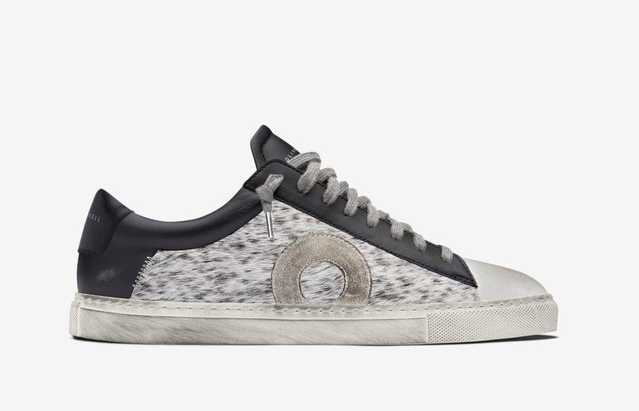 Niedrig 1 Pony Oliver Cabell